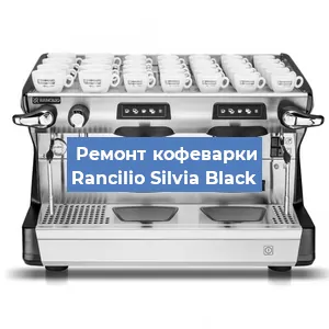 Чистка кофемашины Rancilio Silvia Black от кофейных масел в Волгограде